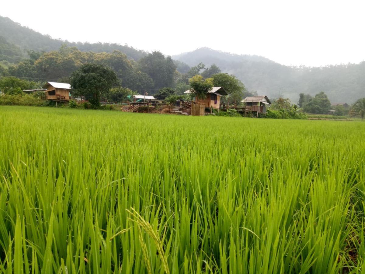 Samoeng Fishing Park Home Stay Екстер'єр фото